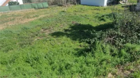 Foto 2 de Planta baixa en venda a Calle Perojo, 14, Valleseco, Las Palmas