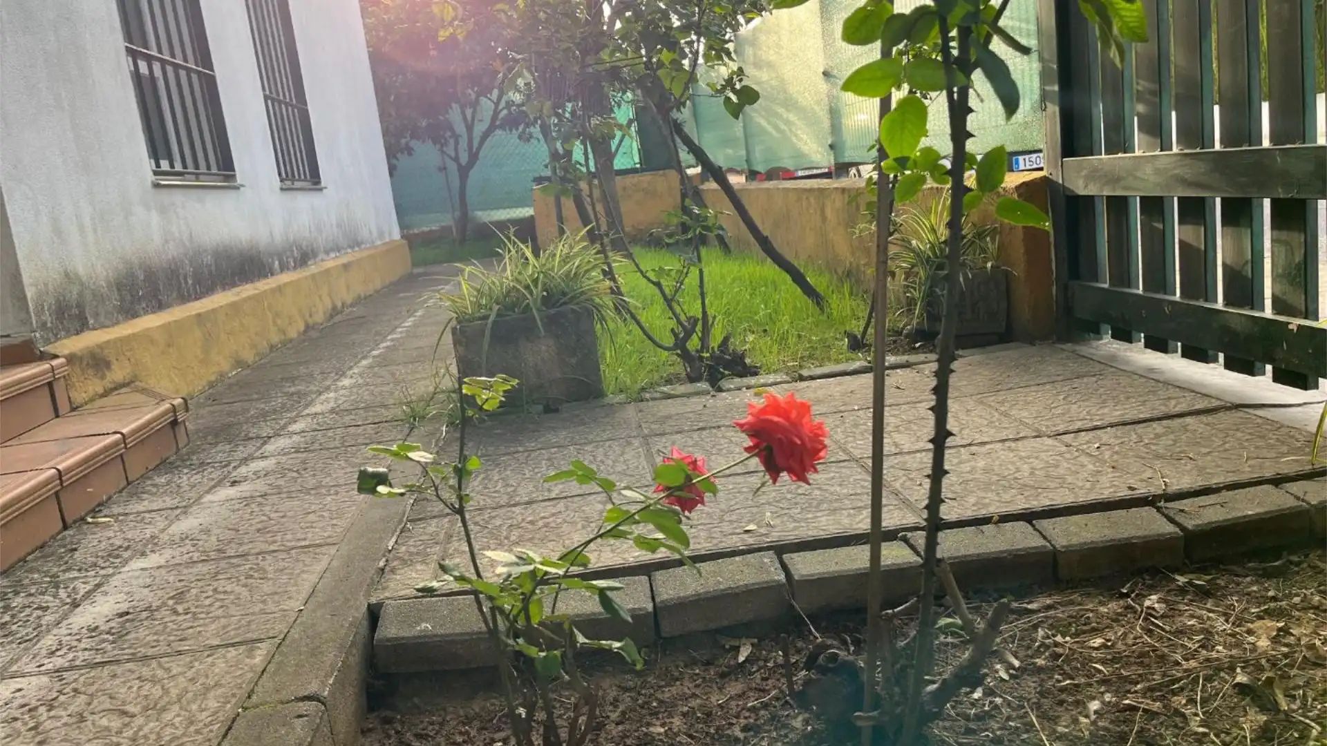 Jardín de Casa o chalet de alquiler en Almensilla con Aire acondicionado