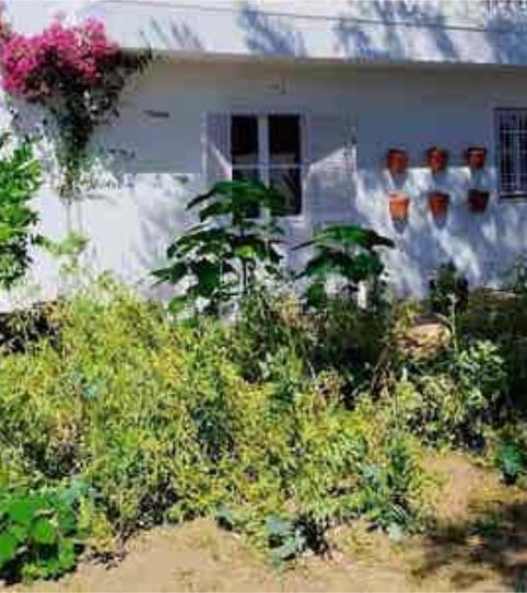 Foto 2 de Casa o chalet de alquiler en Carretera de Granada - La Alcazaba, Alhendín