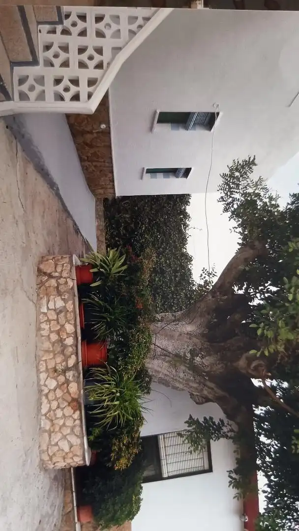 Jardín de Finca rústica en venta en Torrent con Terraza y Balcón