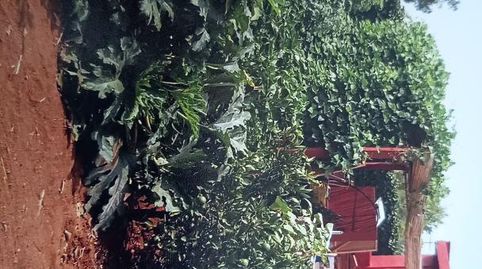 Foto 5 de Finca rústica en venta en Urbanizacion Camping, 7p, Cumbres de Calicanto, Torrent