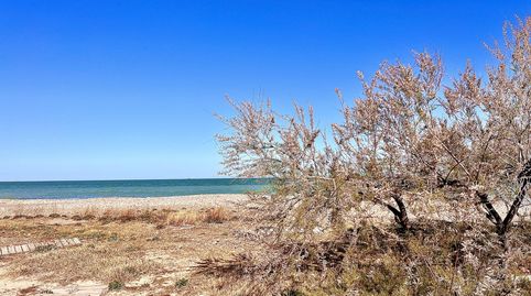 Foto 2 de Apartamento de alquiler en Urbanització Plans Mar, 4b, Playa del Puig, El Puig de Santa Maria