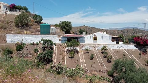 Photo 3 of Single-family semi-detached for sale in Partida Zapata, 24, Almáchar, Málaga