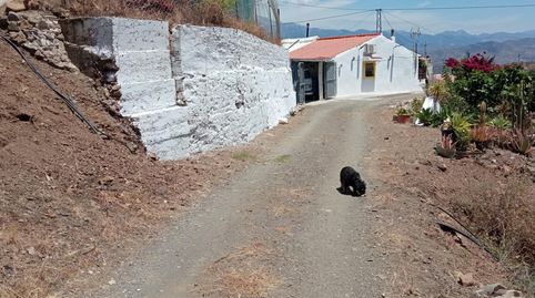 Photo 4 of Single-family semi-detached for sale in Partida Zapata, 24, Almáchar, Málaga