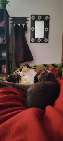 Piso en Alquiler en Calle la Española, 16B en Palos de la Frontera