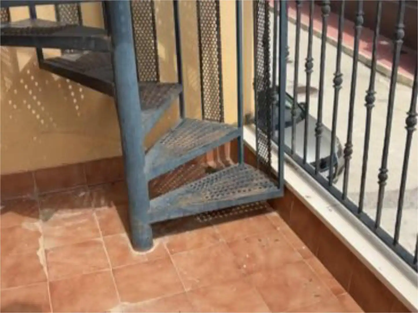Einfamilien-Reihenhaus zum Verkauf in Calle la Peseta, 3, Hondón de los Frailes Terrasse von Einfamilien-Reihenhaus zum Verkauf in Hondón de los Frailes mit Heizung, Privatgarten und Terrasse