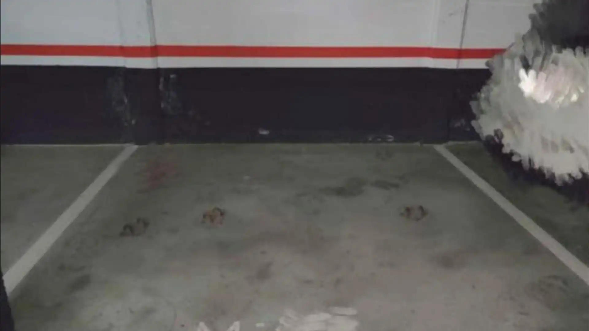 Garaje de alquiler en Calle Virgen de la Paloma, 13, Centro