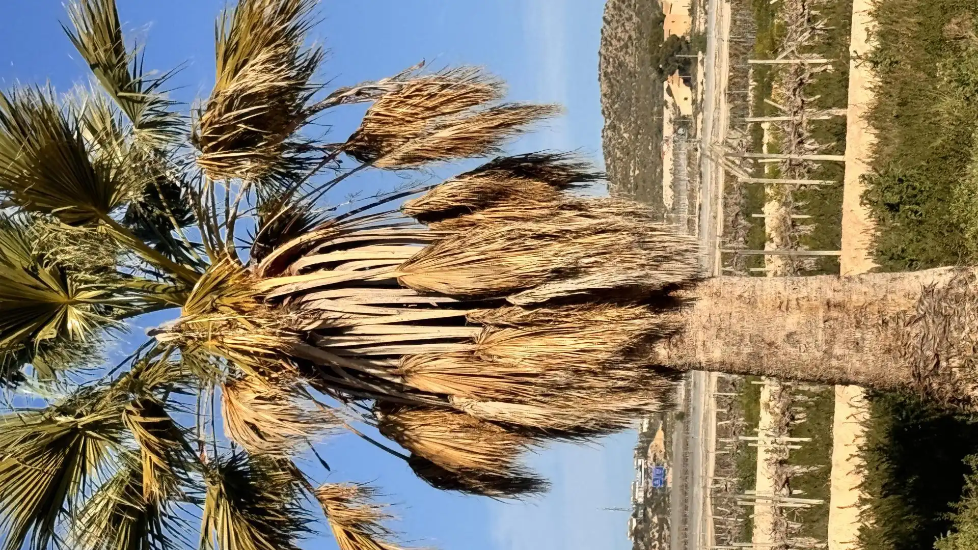 Finca rústica de lloguer a Carrer Esperidion Porta Requesens, 101, Carrús Este