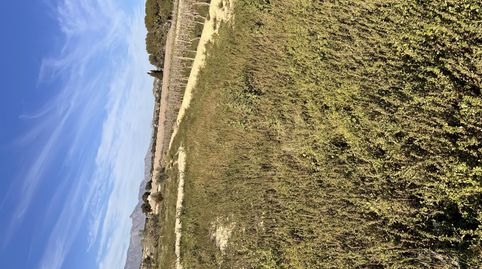 Foto 5 de Finca rústica de lloguer a Carrer Esperidion Porta Requesens, 101, Carrús Este, Elche / Elx