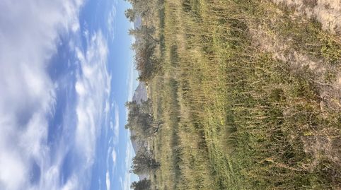 Foto 4 de Finca rústica de lloguer a Carrer Esperidion Porta Requesens, 101, Carrús Este, Elche / Elx