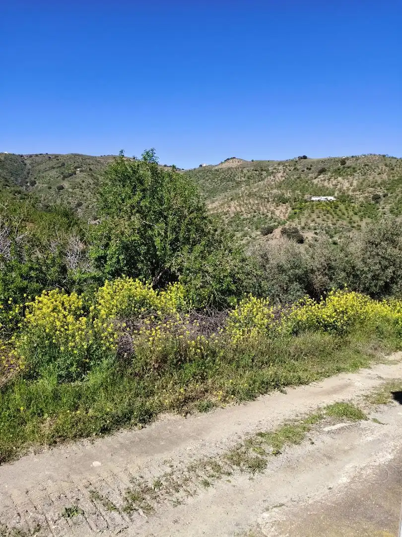 Country homes for sale in Albondón  with Terrace