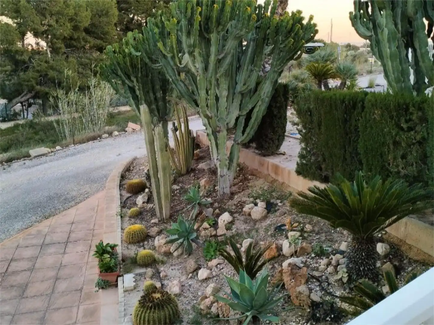 Casa o xalet en venda a Partida Peña Águilas, 104, Peña de las Águilas Jardí de Casa o xalet en venda en Elche / Elx amb Aire condicionat i Terrassa