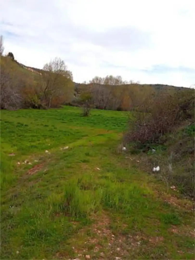 Houses for sale in Alcaraz Houses for sale in Alcaraz