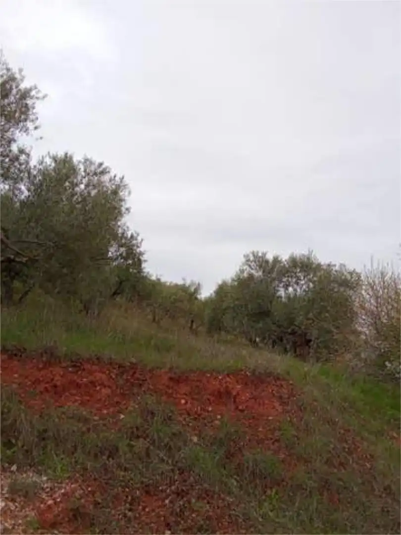 Houses for sale in Alcaraz Houses for sale in Alcaraz