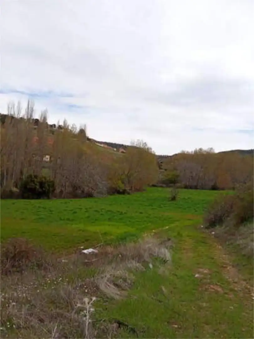 Houses for sale in Alcaraz Houses for sale in Alcaraz
