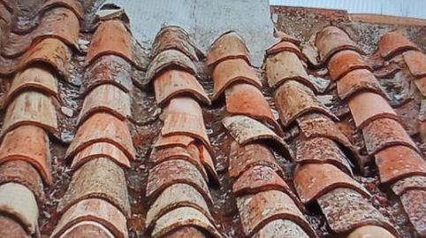 Foto 3 de Finca rústica en venta en Calle Diseminados, 76, Alcaraz, Albacete