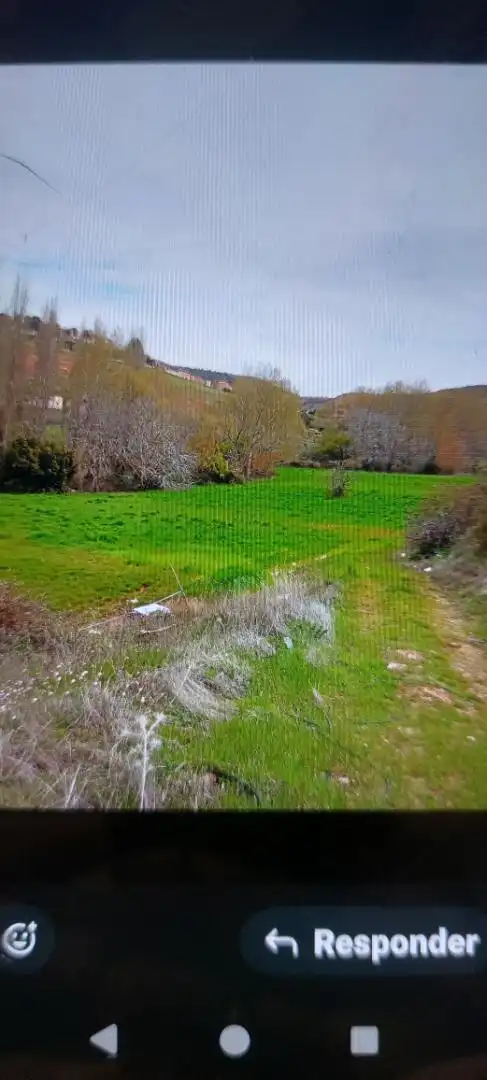 Country homes for sale in Alcaraz