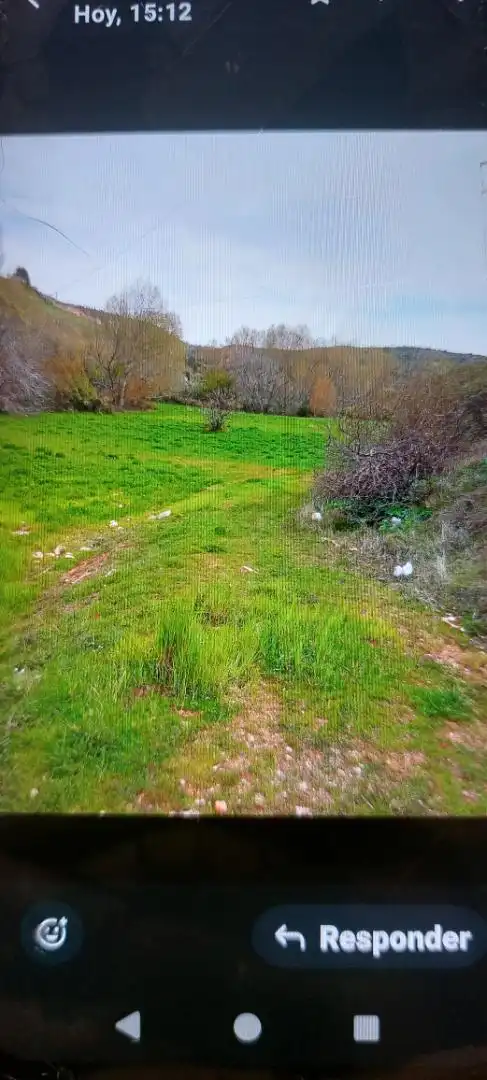 Country homes for sale in Alcaraz