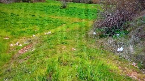 Foto 4 de Finca rústica en venta en Calle Diseminados, 76, Alcaraz, Albacete