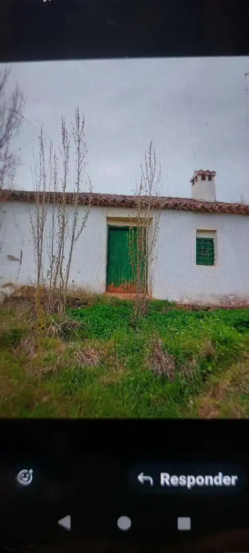 Exterior view of Country homes for sale in Alcaraz