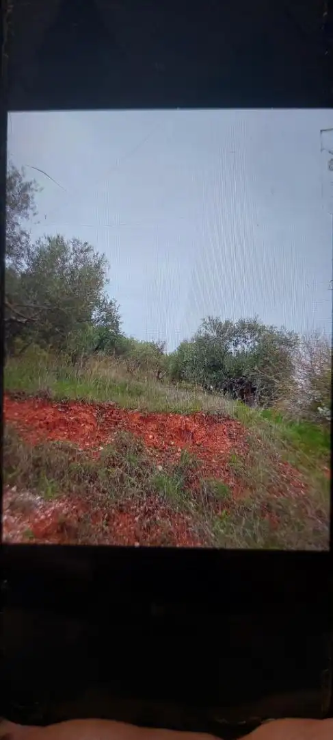 Country homes for sale in Alcaraz