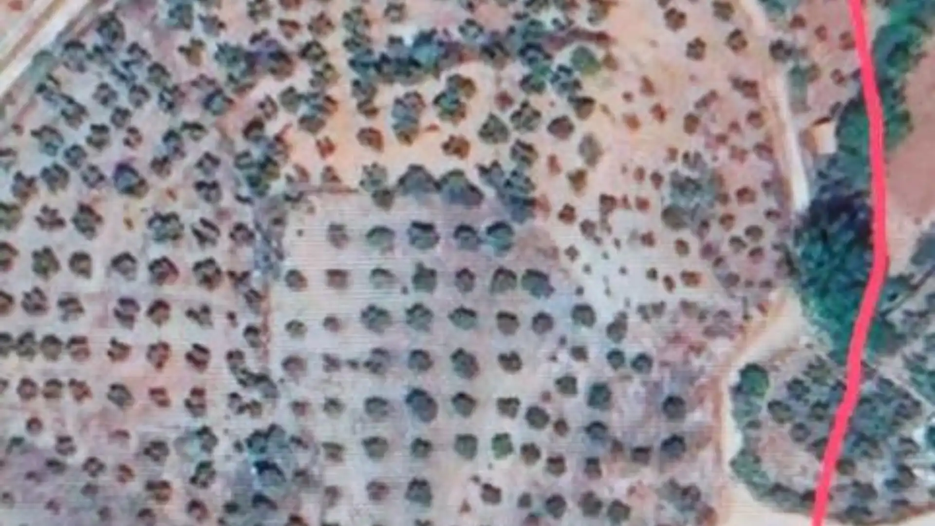 Finca rústica en venta en Calle Diseminados, 76, Alcaraz