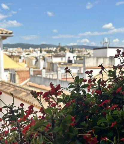 Piso en Alquiler en Calle Capitulares, 16 en Sta. Marina - San Andrés - San Pablo - San Lorenzo