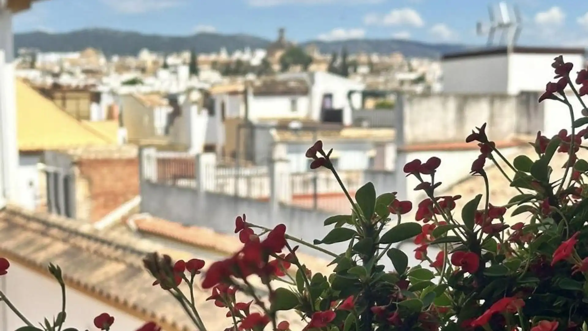 Vista exterior de Pis de lloguer en  Córdoba Capital amb Aire condicionat, Terrassa i Moblat
