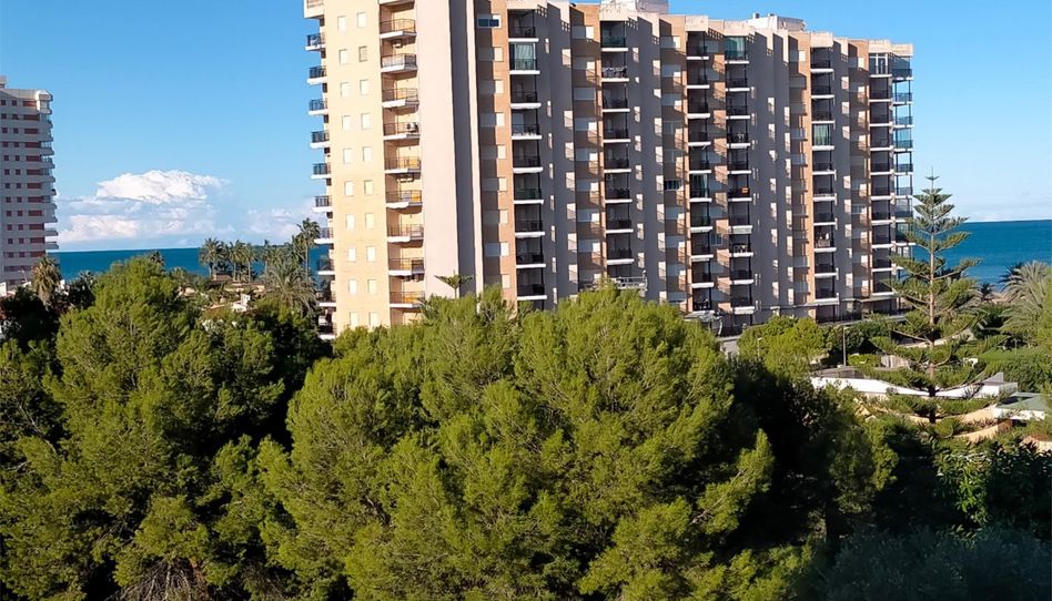 Piso en venta en Carrer de la Valldigna, 10, Playa de Gandia, Gandia - imagen 1 Foto 1 de Piso en venta en Carrer de la Valldigna, 10, Playa de Gandia, Gandia