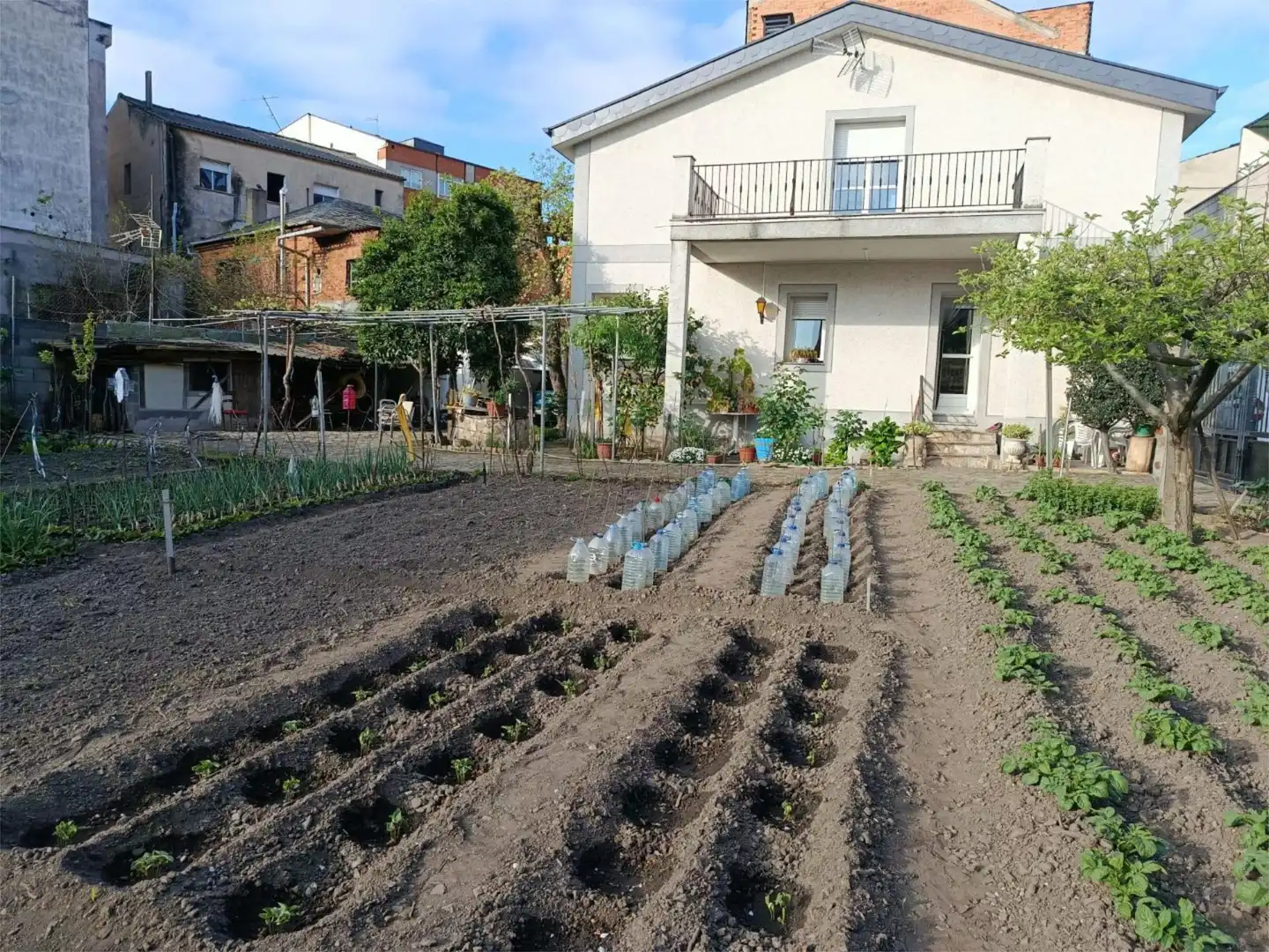 Jardín de Casa o chalet en venta en A Rúa  con Parquet, Terraza y Trastero