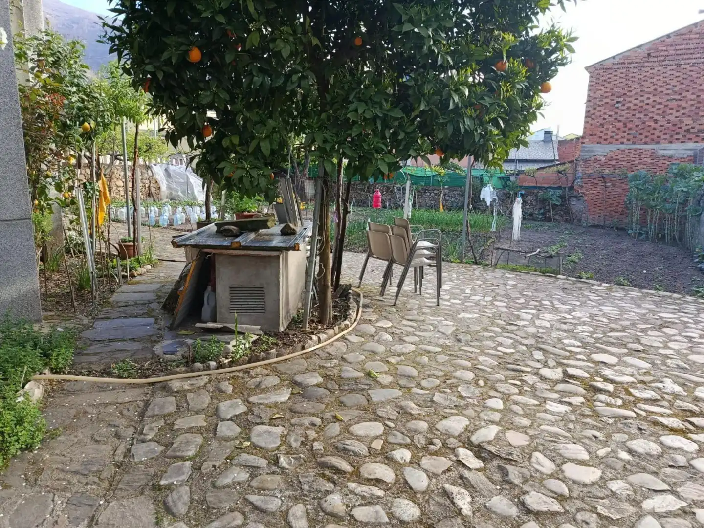 Casa o chalet en venta en Rúa Felgar, 18, A Rúa Terraza de Casa o chalet en venta en A Rúa con Terraza