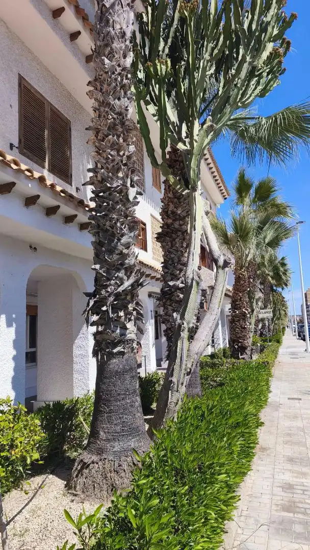 Flat for sale in Avinguda de Ronda, 100, Playa Tamarit - Playa Lissa Exterior view of Flat for sale in Santa Pola with Air Conditioner, Terrace and Swimming Pool