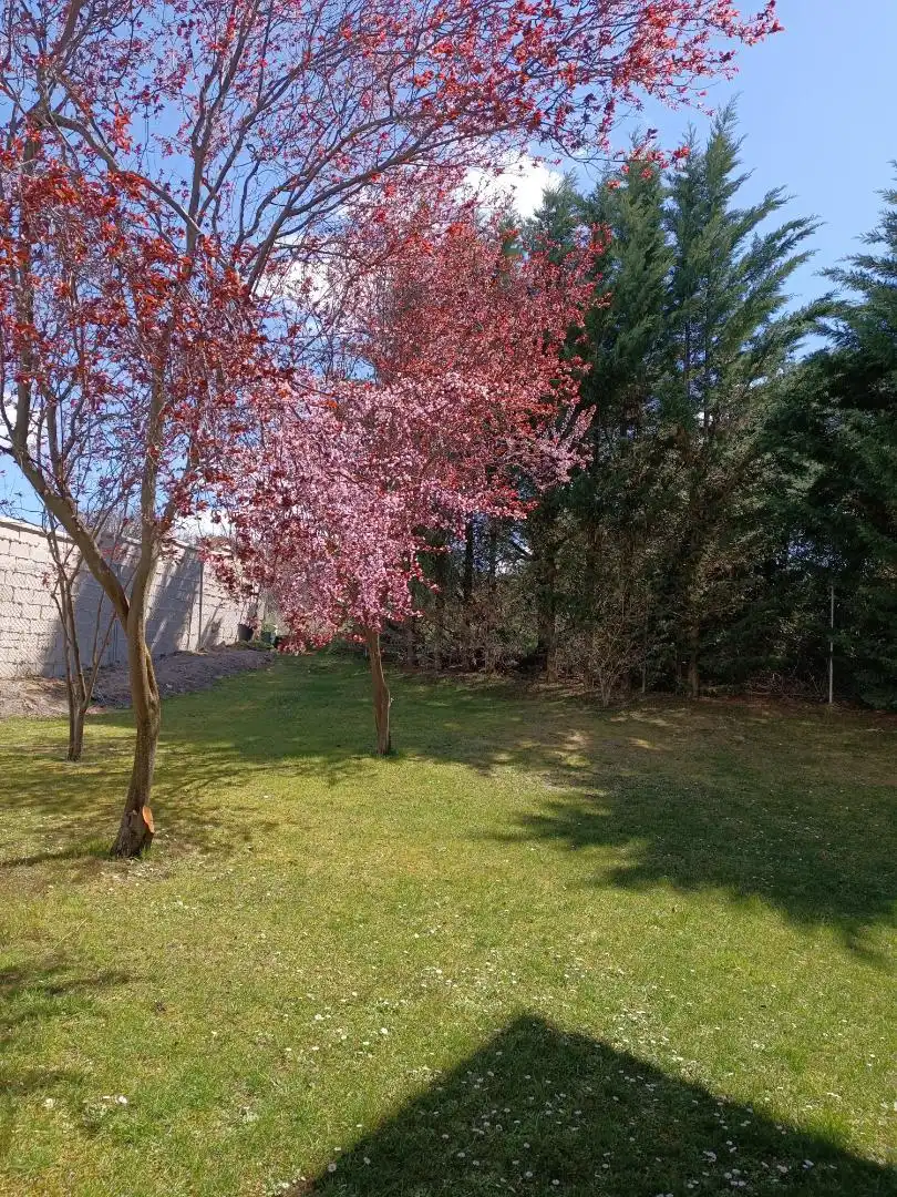 Flat for sale in Avenida Coto San Isidro, 4, Ituero y Lama Flat for sale in Ituero y Lama with Heating, Private garden and Oven