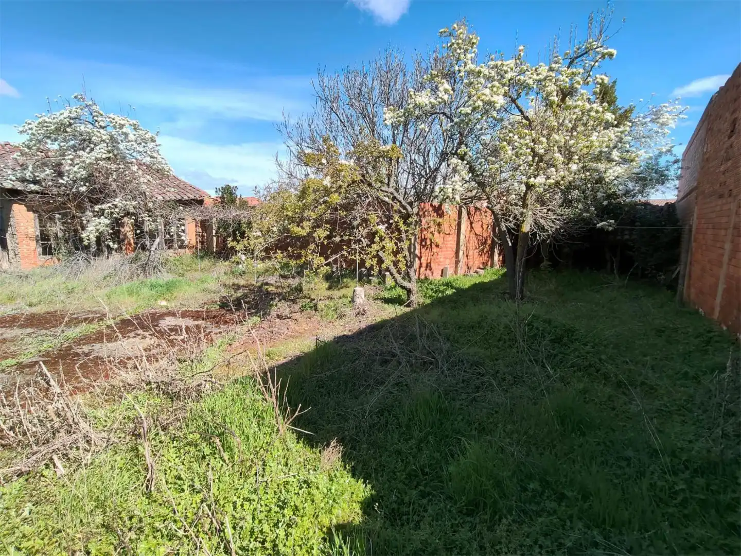 Pis en venda a Calle de la Hermandad, 2, Villamañán Pis en venda en Villamañán amb Calefacció, Jardí privat i Parquet
