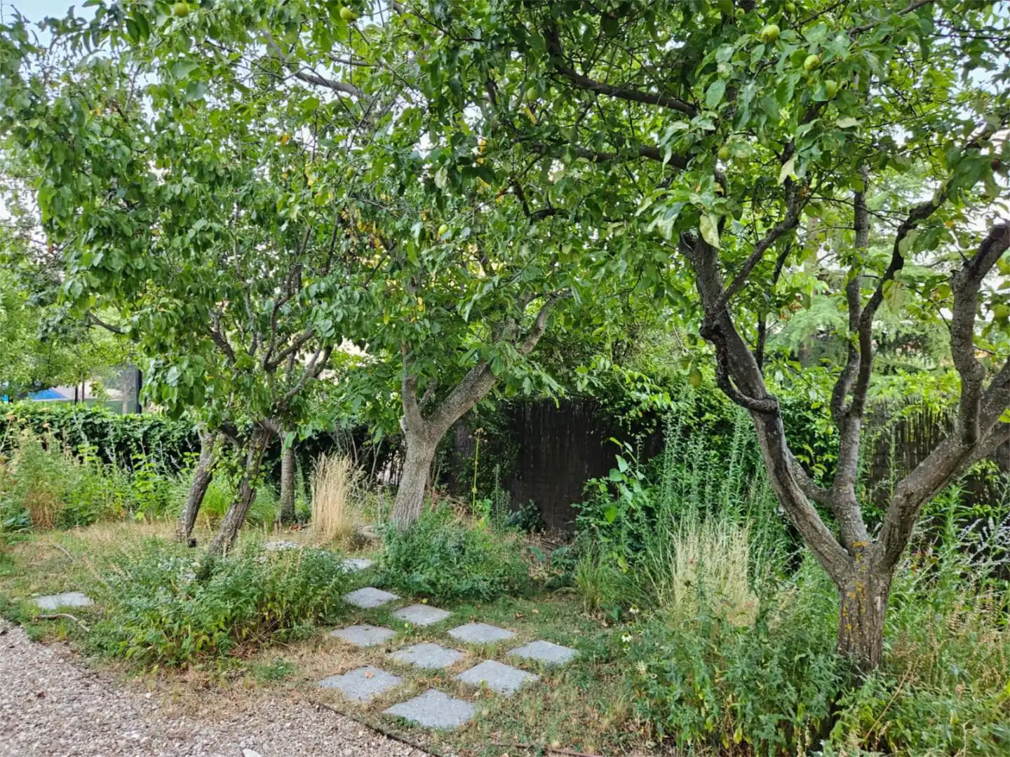 Casa o xalet en venda a Zaburdón - Monte Escorial Jardí de Casa o xalet en venda en San Lorenzo de El Escorial amb Terrassa