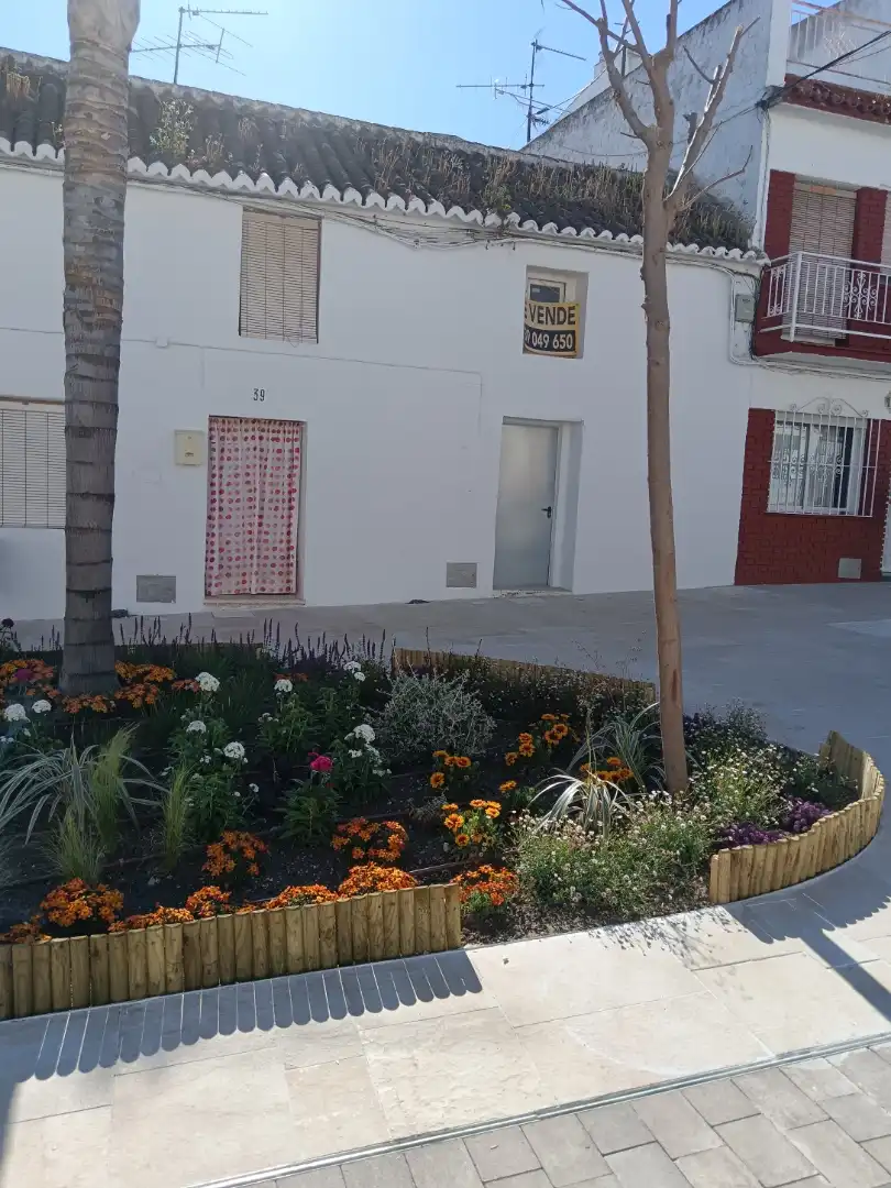 Vista exterior de Casa adosada en venta en Alhaurín de la Torre con Terraza