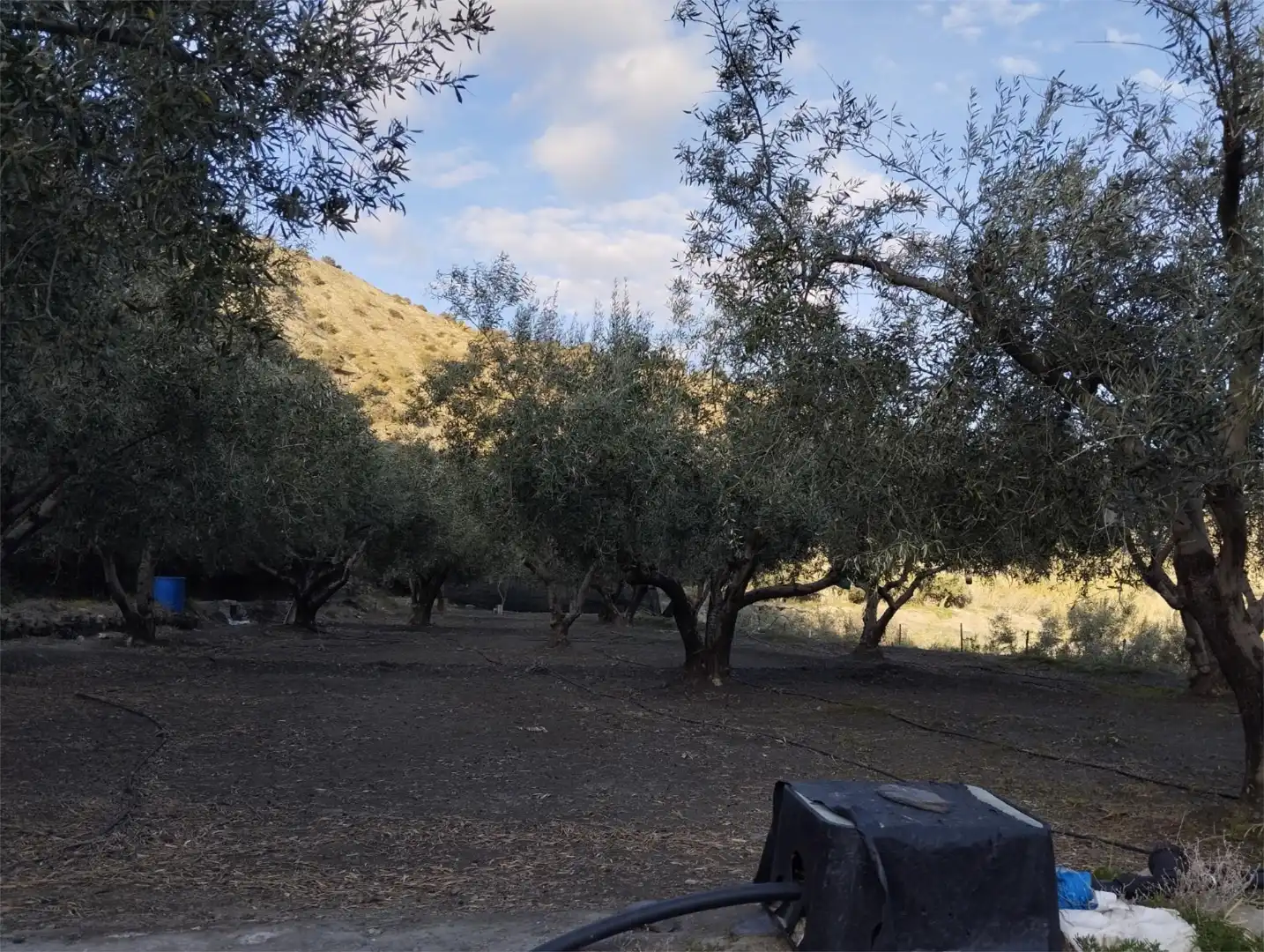 Jardín de Terreno en venta en Alboloduy