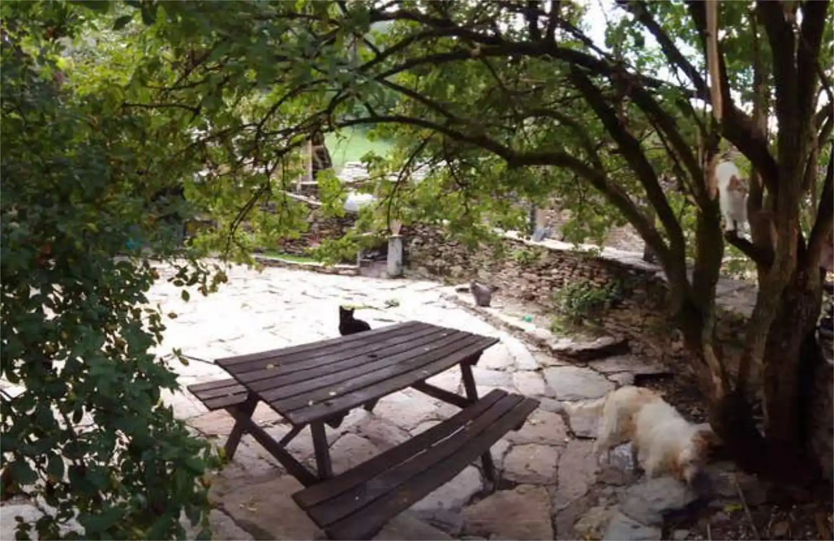 Terrace of Houses for sale in Salàs de Pallars