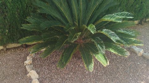 Flat for sale in Calle Victoria, 822, La Florida, Orihuela - image 3 Photo 3 of Flat for sale in Calle Victoria, 822, La Florida, Orihuela