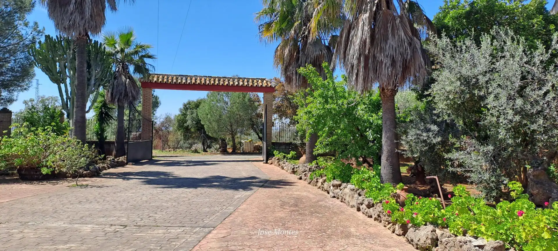 Vista exterior de Finca rústica en venda en Villanueva del Río y Minas amb Jardí privat, Terrassa i Piscina
