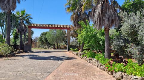 Foto 4 von Country house zum Verkauf in Calle Marcelino Champagnat, 1a, Villanueva del Río y Minas, Sevilla