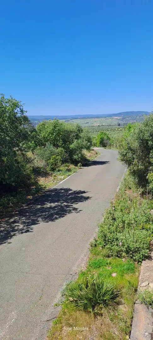 Vista exterior de Finca rústica en venda en Villanueva del Río y Minas amb Jardí privat, Terrassa i Piscina
