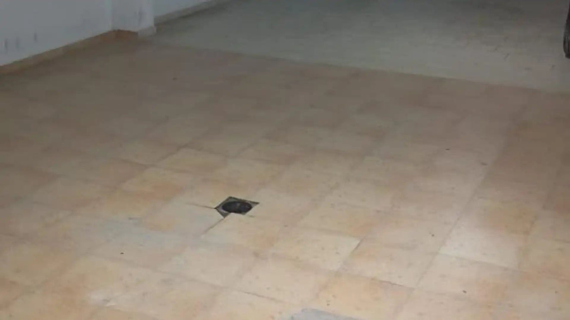 Garaje de alquiler en Olvera