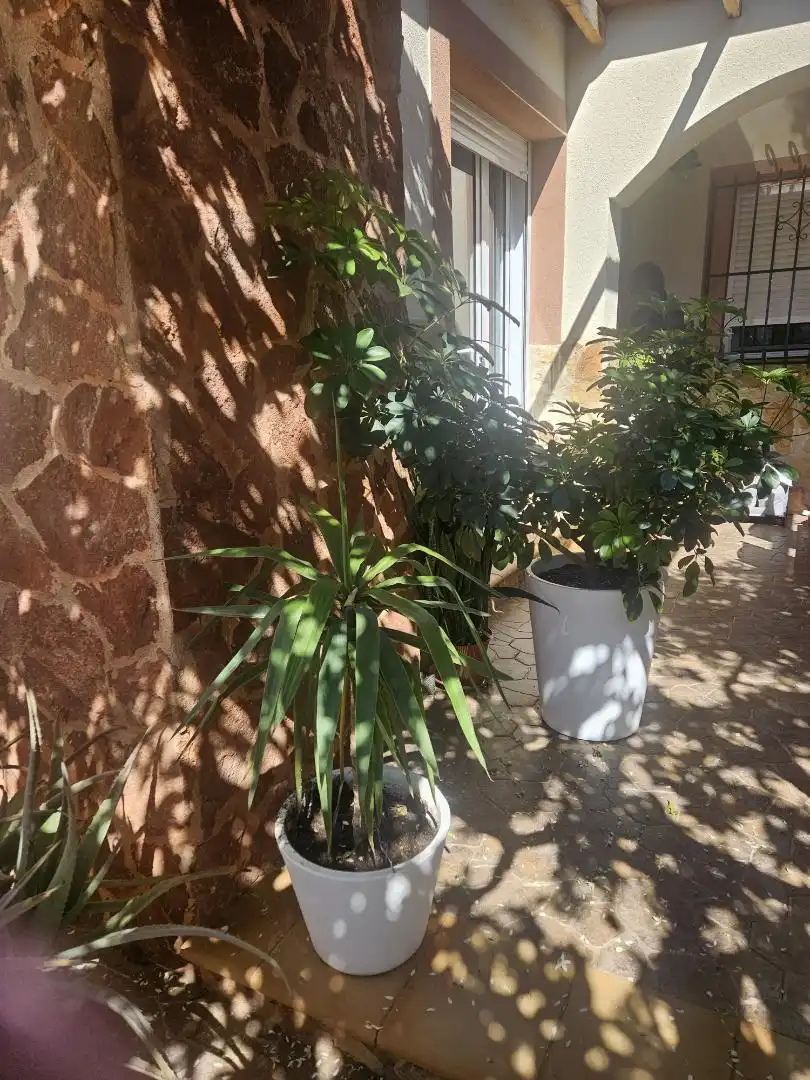 Erdgeschoss zum Verkauf in Calle Castillete, 59, La Unión ciudad Garten von Erdgeschoss zum Verkauf in La Unión mit Terrasse und Balkon