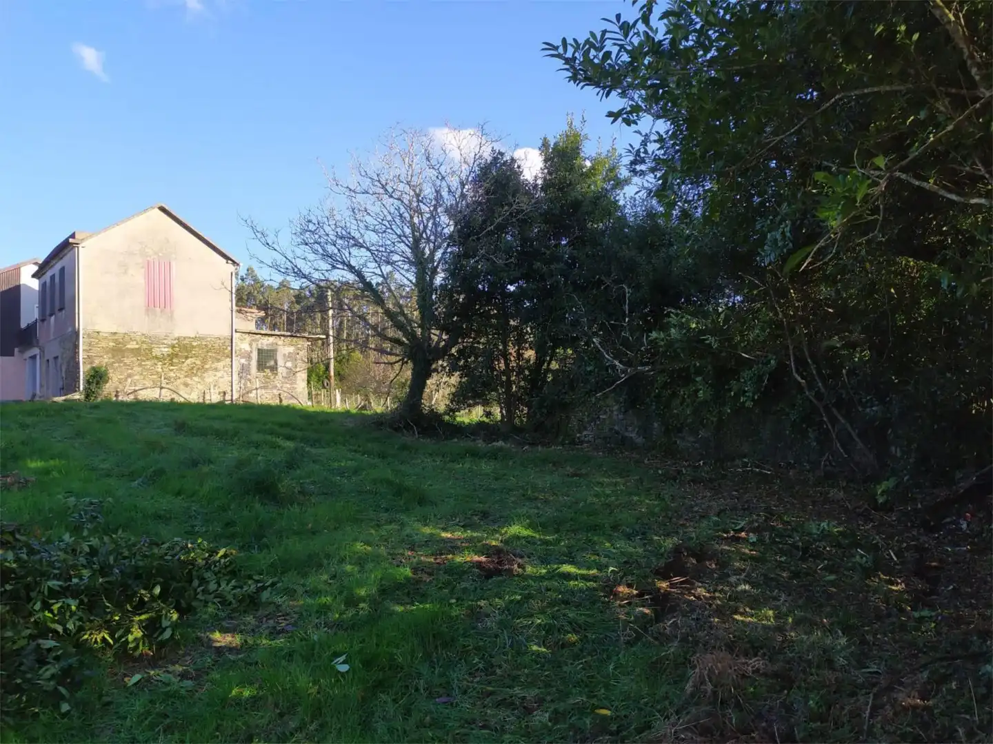 Finca rústica en venta en Moeche