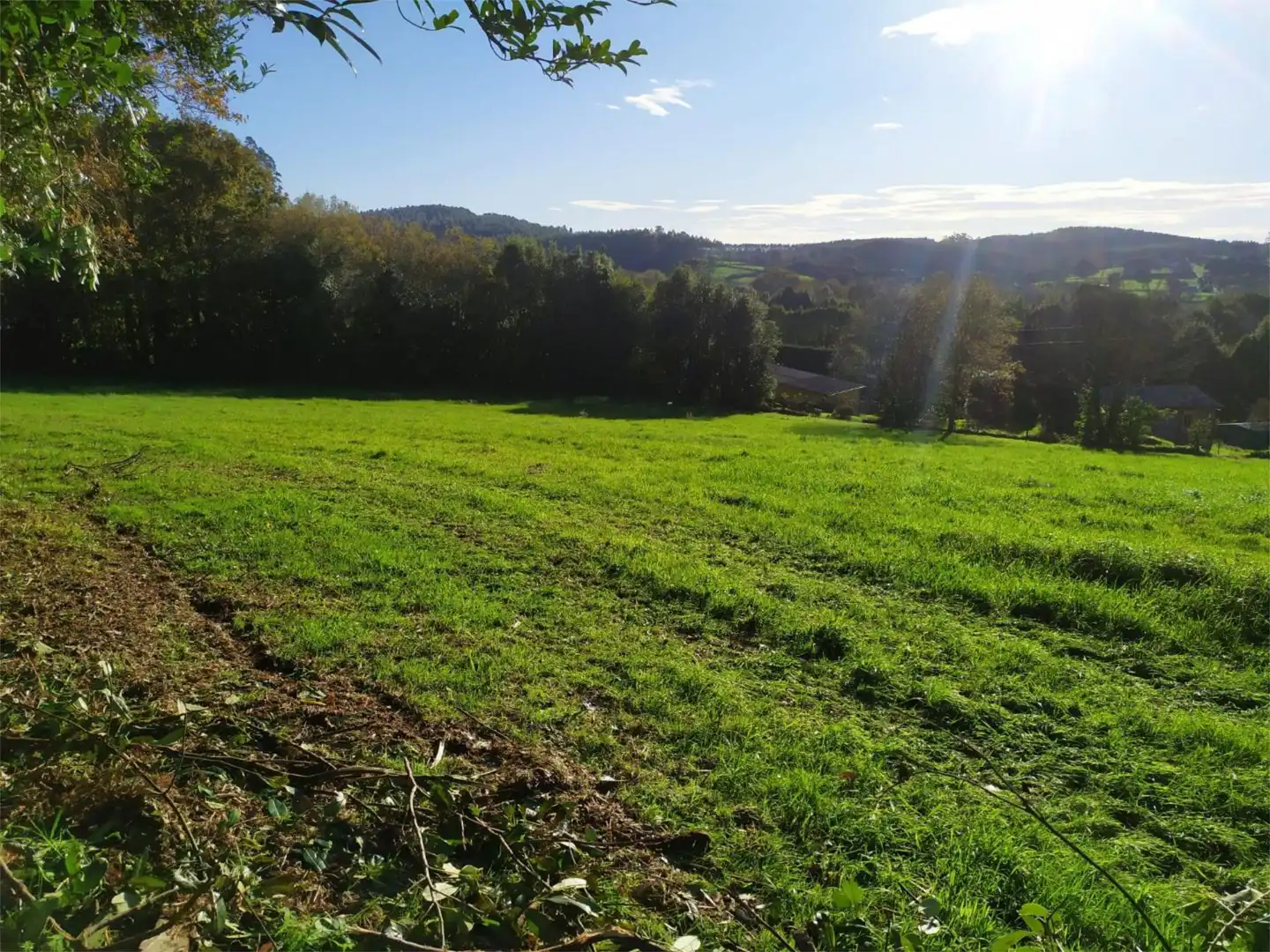 Finca rústica en venta en Moeche