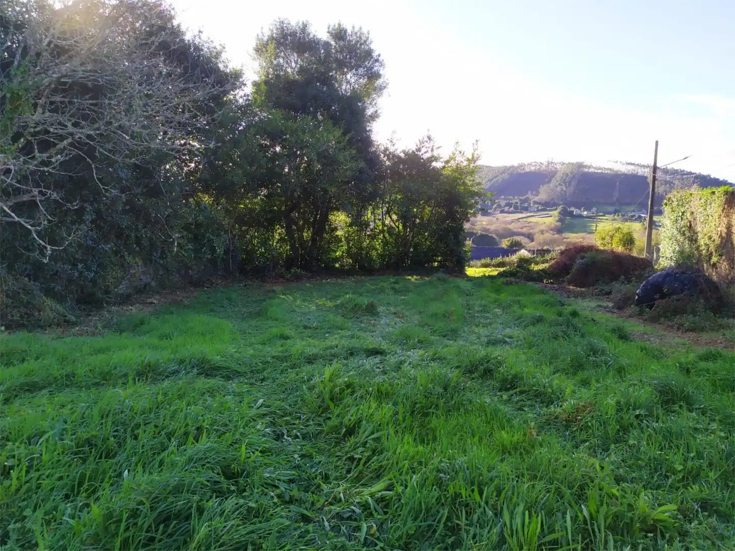 Finca rústica en venta en Moeche