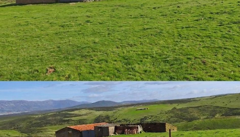 Photo 1 of Land for sale in Cm-4162, 11, El Campillo de la Jara, Toledo