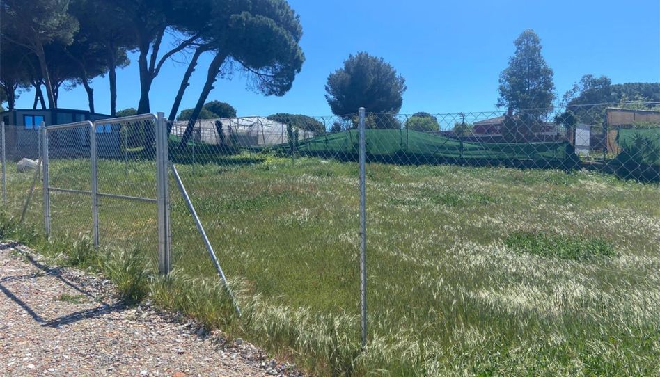 Country homes for sale in Camino Carabineros, 11, Las Lagunas - Campano, Chiclana de la Frontera - image 1 Photo 1 of Country homes for sale in Camino Carabineros, 11, Las Lagunas - Campano, Chiclana de la Frontera