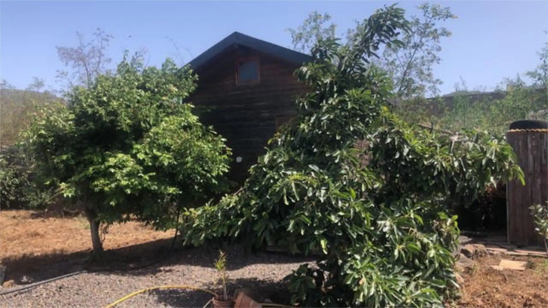 Vista exterior de Piso de alquiler en San Cristóbal de la Laguna con Jardín privado, Terraza y Amueblado